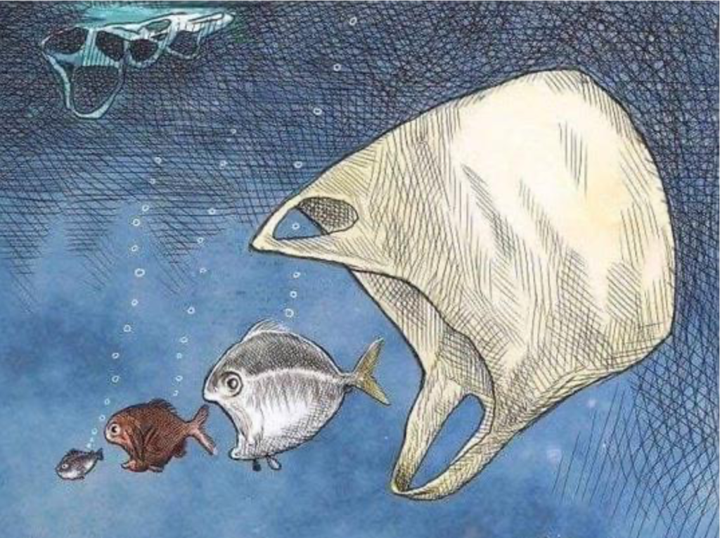 Plastics in water harming wildlife